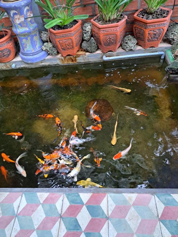 Hoa Lan Motel & Homestay Giong Tu Dien ภายนอก รูปภาพ
